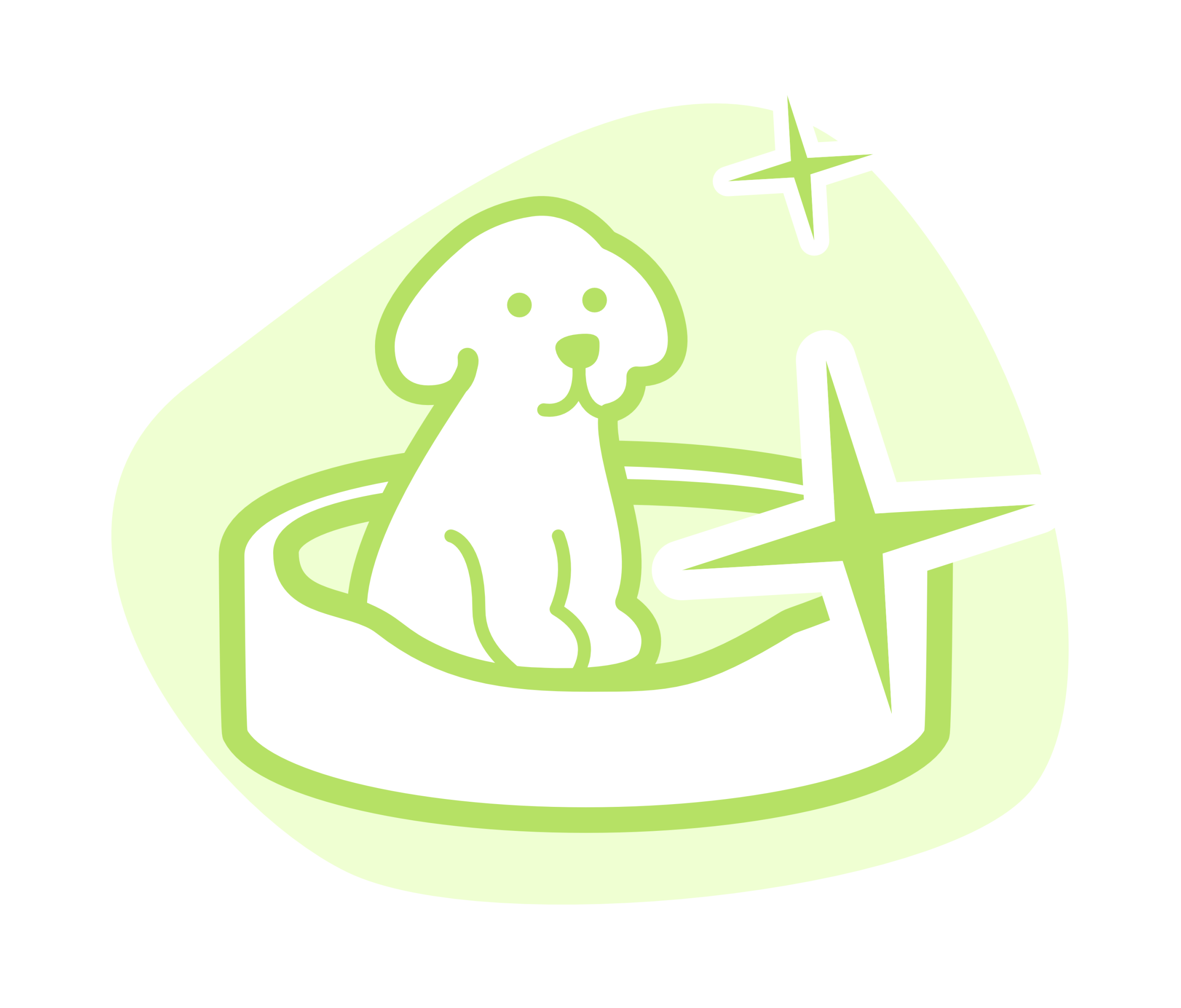 Pet Bed Cleaners