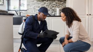 Cockroach Pest Control Prices in South Africa